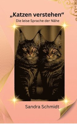 Sandra Schmidt - Katzen verstehen, Häftad