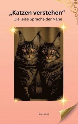 Sandra Schmidt - Katzen verstehen, Häftad