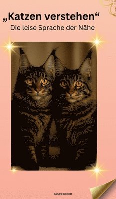 Sandra Schmidt - Katzen verstehen, Inbunden
