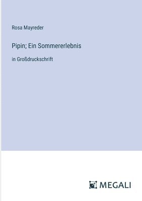 Rosa Mayreder - Pipin; Ein Sommererlebnis, Häftad
