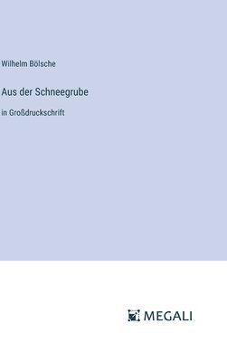 Aus der Schneegrube