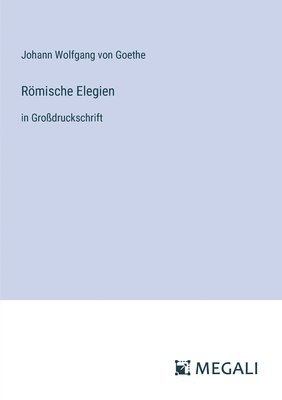 J Goethe - Römische Elegien, Häftad