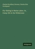 Charles Woodbury Stevens, Charles Eliot Goodspeed - Fly-fishing in Maine Lakes. Or, Camp-life in the Wilderness, Häftad. Tillgänglighet: Lägg i varukorg