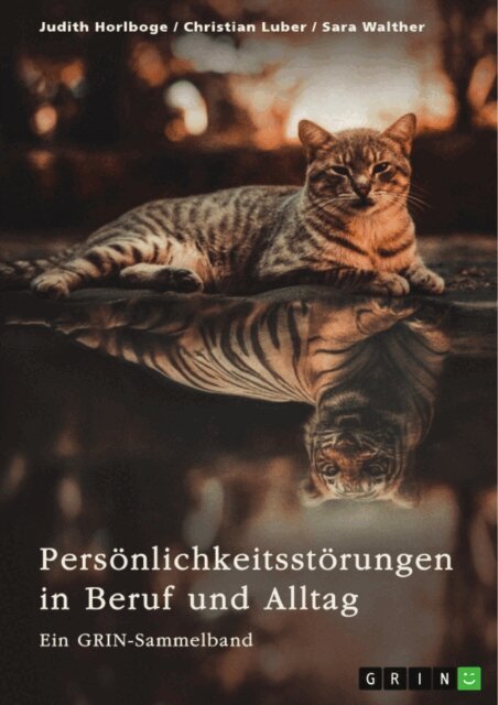 Sara Walther, Christian Luber, Judith Horlboge, GRIN (Hrsg.) Verlag - Personlichkeitsstorungen in Beruf und Alltag. Borderline, Narzissmus und abweichendes Verhalten, E-bok