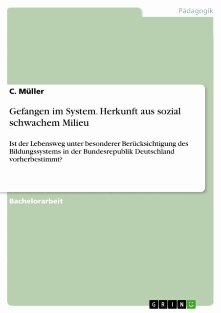 C. Muller - Gefangen im System. Herkunft aus sozial schwachem Milieu, E-bok