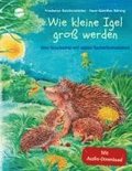 Wie kleine Igel gro werden