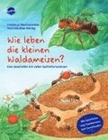 Wie leben die kleinen Waldameisen?