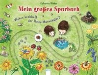 Wohin krabbelt der kleine Marienkfer?