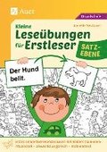 Kleine Lese�bungen f�r Erstleser - Satzebene