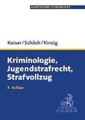 Kriminologie, Jugendstrafrecht, Strafvollzug