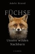 Füchse