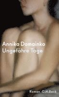 Annika Domainko - Ungefähre Tage, Inbunden