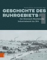 Geschichte Des Ruhrgebiets: Bd. 1: Der Rheinisch-Westfalische Industriebezirk Bis 1914