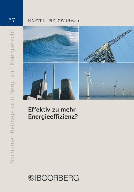 Johann-Christian Pielow, Ines Hartel - Effektiv zu mehr Energieeffizienz?, E-bok