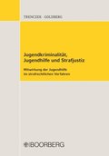 JugendkriminalitÃ¿t, Jugendhilfe und Strafjustiz
