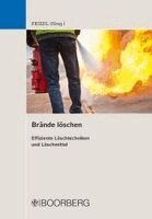 Wolfgang J. Friedl - Brände löschen, Häftad