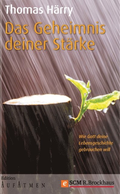 Thomas Harry - Das Geheimnis deiner Stärke, E-bok