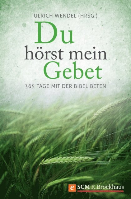 Ulrich Wendel - Du hörst mein Gebet, E-bok