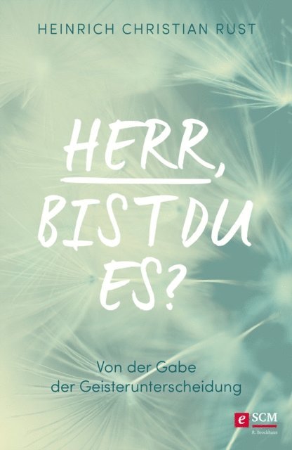 Heinrich Christian Rust - Herr, bist du es?, E-bok