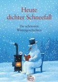 Heute: dichter Schneefall. Gro�druck