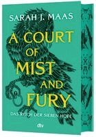 Sarah J. Maas - A Court of Mist and Fury, Inbunden