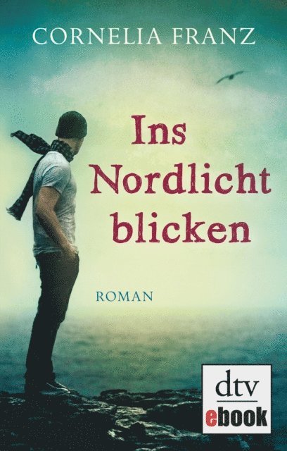 Cornelia Franz - Ins Nordlicht blicken, E-bok