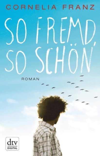 Cornelia Franz - So fremd, so schön, E-bok