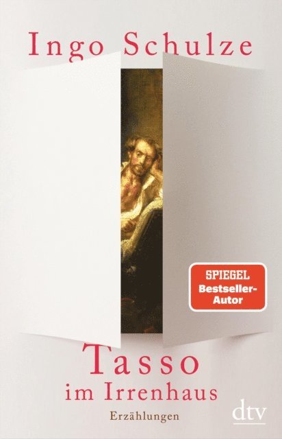 Ingo Schulze - Tasso im Irrenhaus, E-bok