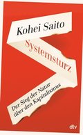 Systemsturz