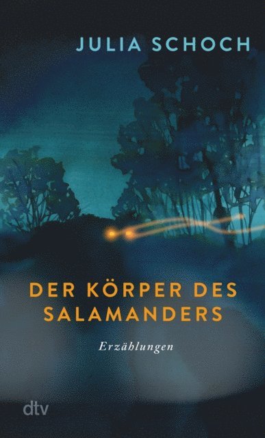 Julia Schoch - Der Körper des Salamanders, E-bok