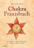 Chakra-Praxisbuch