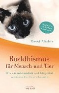Buddhismus fr Mensch und Tier
