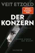 Der Konzern