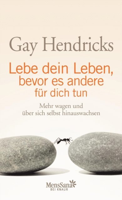 Gay Hendricks - Lebe dein Leben, bevor es andere für dich tun, E-bok