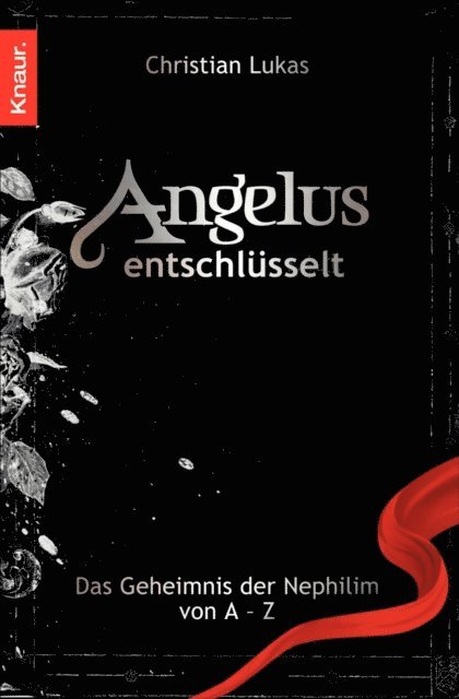 Christian Lukas - Angelus entschlüsselt, E-bok