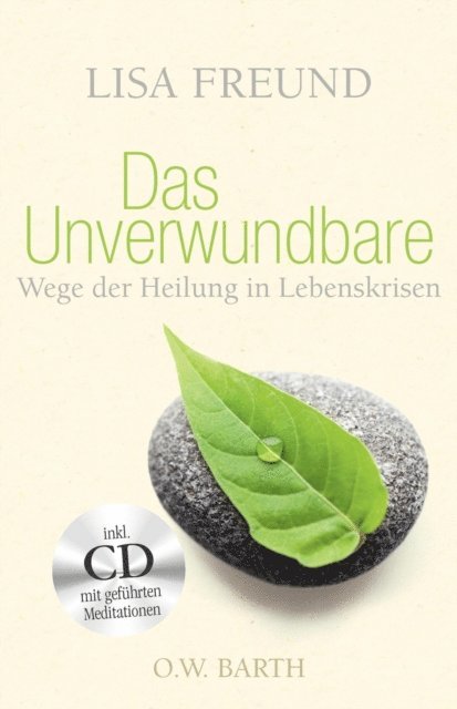 Lisa Freund - Das Unverwundbare, E-bok