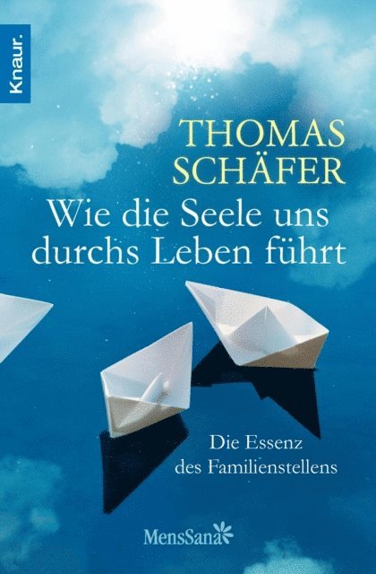 Thomas Schafer - Wie die Seele uns durchs Leben führt, E-bok
