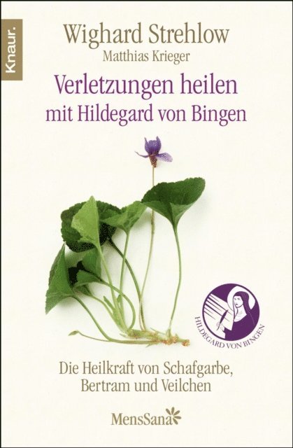 Dr. Wighard Strehlow - Verletzungen heilen, E-bok