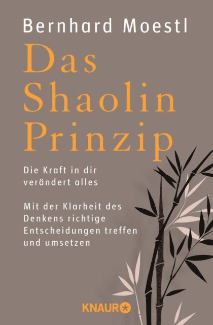 Bernhard Moestl - Das Shaolin-Prinzip, E-bok