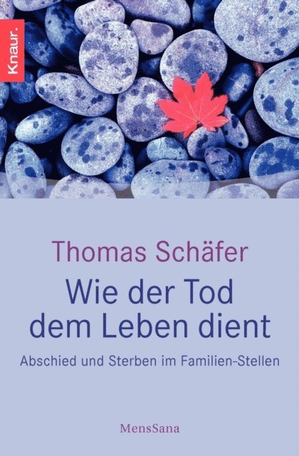 Thomas Schafer - Wie der Tod dem Leben dient, E-bok