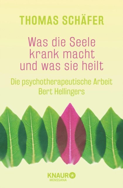 Thomas Schafer - Was die Seele krank macht und was sie heilt, E-bok