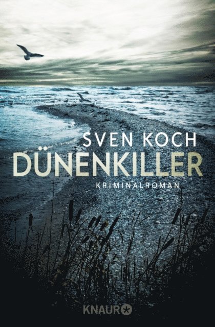 Sven Koch - Dünenkiller, E-bok
