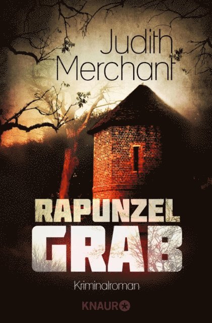 Judith Merchant - Rapunzelgrab, E-bok