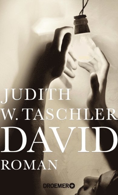 Judith W. Taschler - David, E-bok