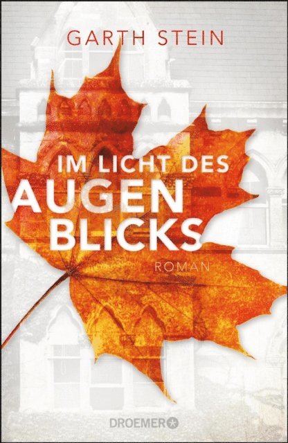 Garth Stein - Im Licht des Augenblicks, E-bok
