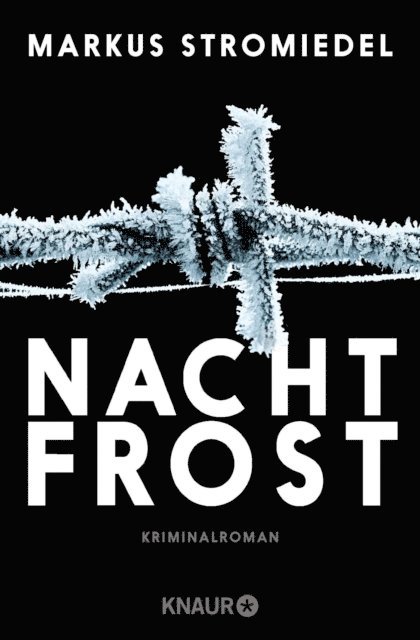 Markus Stromiedel - Nachtfrost, E-bok