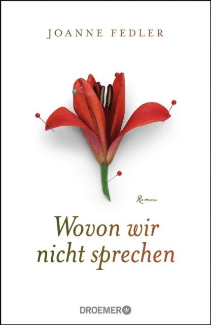 Joanne Fedler - Wovon wir nicht sprechen, E-bok