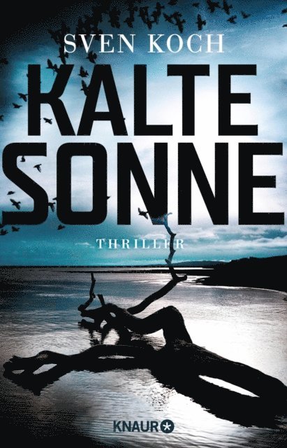 Sven Koch - Kalte Sonne, E-bok