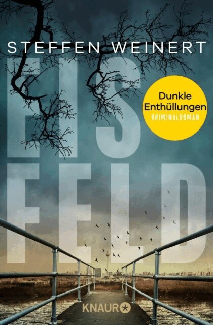 Steffen Weinert - Eisfeld – Dunkle Enthüllungen, E-bok
