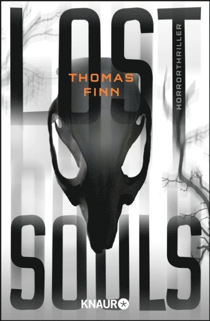 Thomas Finn - Lost Souls, E-bok